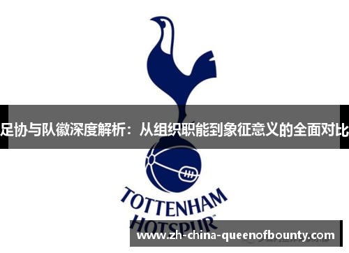 足协与队徽深度解析：从组织职能到象征意义的全面对比